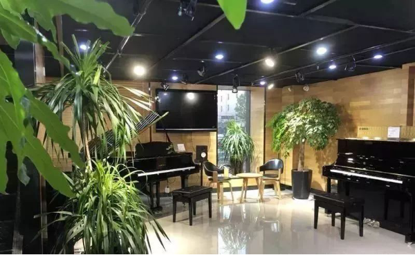 精彩回顾 | 优德88e-EU柳劲涛博士远程钢琴公开课圆满结束！
